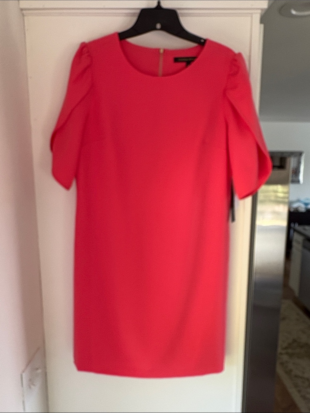 Cynthia Steffe NWT Short Sleeve  Dress with Bell Sleeves